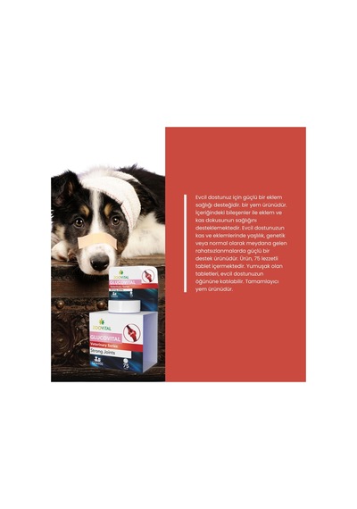 Glucovital 75 Tablet Kedi Ve Küçük Irk Köpekler Için Kas Ve Eklem Desteği