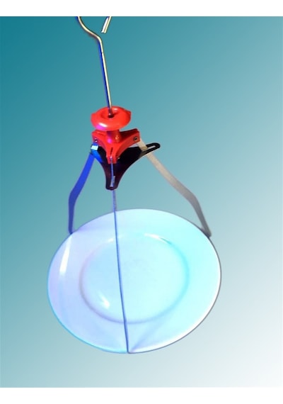 River World Dekoratif Metal Tabak Servis Sunum Aparatı Estetik T