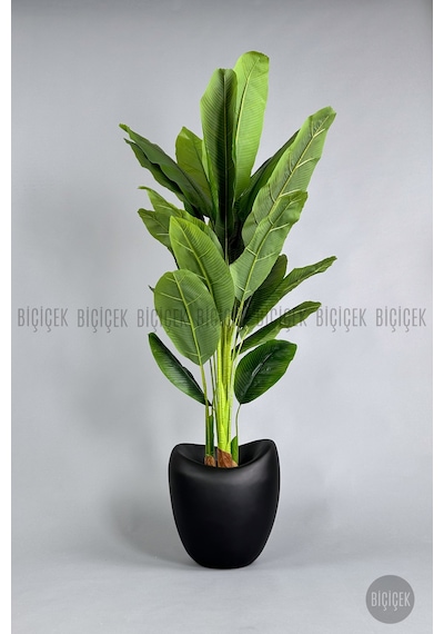 Biçiçek Yapay Muz Ağaci 210 Cm 4 Gövdeli̇ 21 Yaprak Mocha Lale Saksıda