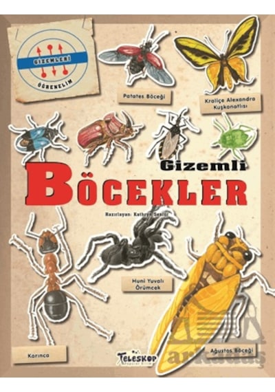 Gizemleri Öğrenelim - Gizemli Böcekler