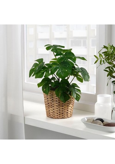 Ikea Fejka Yapay Bitki, Yeşil, 12 Cm, İç-dış Mekan Monstera