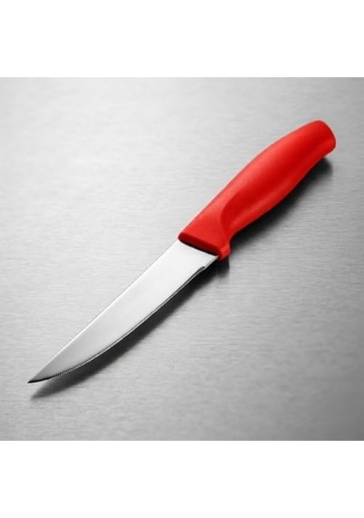 Paslanmaz Çelik Meyve Bıçağı Seti, Kırmızı Saplı, 12 Parça, Mutfak Bıçakları