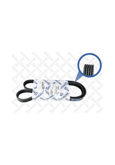 V Kayışı - Alfa Romeo Giulietta, 500, Panda, Grande Punto, Punto, Doblo, Tipo, Bravo, Stilo, Idea, Linea, Egea - Contınental-5pk1145