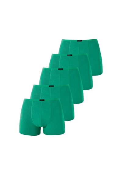 Arma Yıldız Erkek Bambu Boxer Yeşil İnce Bel Lastikli 5'li Paket-yeşil Yeşil