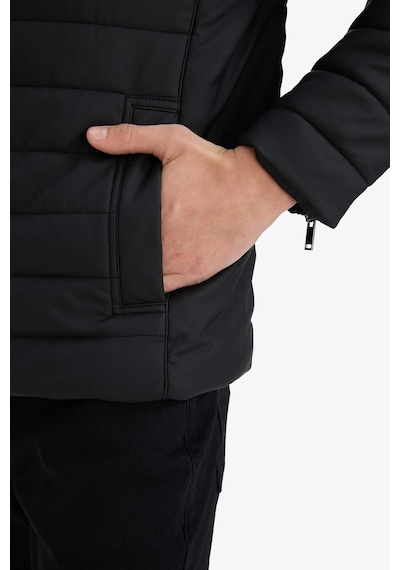 Defacto Su Geçirmez Slim Fit Dar Kesim Dik Yaka Fermuarlı İç Cepli Sunş Deri Ceket Mont X4014az25wnbk27 Siyah Defacto Su Geçirmez Slim Fit Dar Kesim Dik Yaka Fermuarlı İç Cepli Sunş Deri Ceket Mont X4014az25wnbk27 Siyah