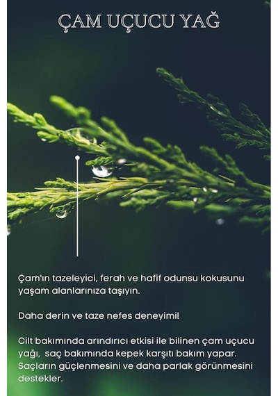 Bade Natural Çam Uçucu Yağı %100 Saf 10 ML