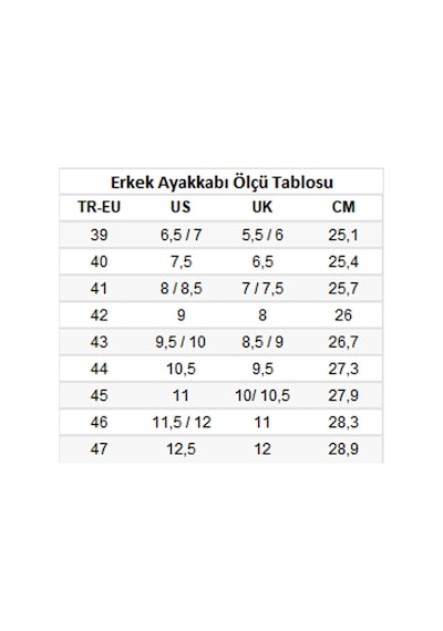 Slazenger Agenda Sneaker Erkek Ayakkabı Beyaz / Gümüş 001