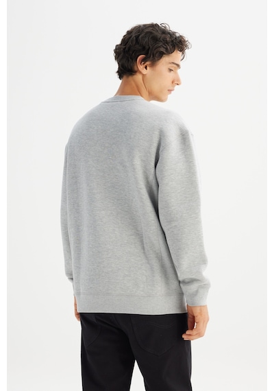 Lee Pamuklu İçi Polarlı Regular Fit Normal Kesim Bisiklet Yaka Baskılı Sweatshirt Gri