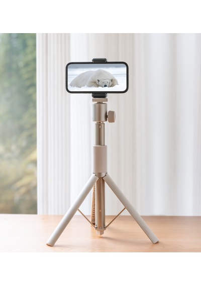 XGIMI Taşınabilir Projeksiyon Standı Light Gold