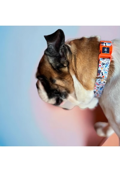 Köpek Boyun Tasması Geri Dönüştürülmüş, Ayarlanabilir, Emniyet Tokalı Küçük Ve Büyük Irklar İçin Tüy Toplamaz, Yıkanabilir, Airtag & İsimlik Uyumlu, Bone Large Çok Renkli