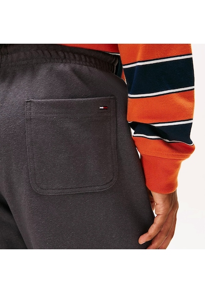 Tommy Hilfiger Heritage Varsity Erkek Gri Eşofman Altı Dm0dm22083 Gri