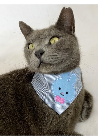 Kemique Blue Bunny Bandana Fular Kedi Kıyafeti