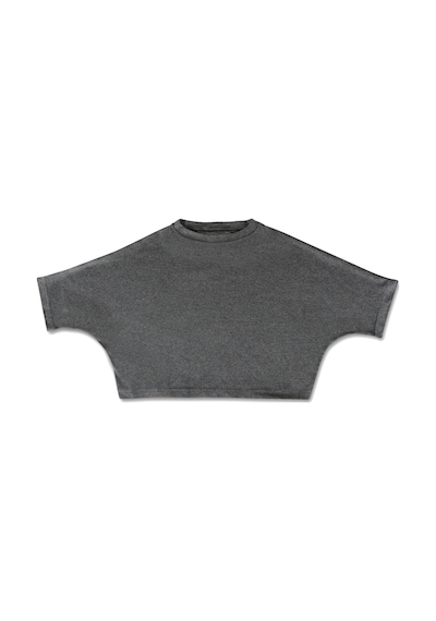 Gri Bisiklet Yaka Rahat Kalıp Yarasa Kol Penye Kadın Crop T-shirt Gri