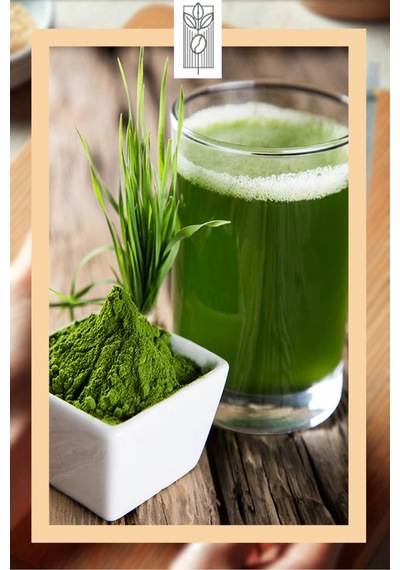 Organik Arpa Çimi Tozu 100g, Premium Barley Grass Powder Glutensiz, Vegan, Katkısız