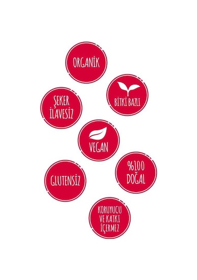 Herby Energy Shot Enerji Bitki Bazlı İçecek X24
