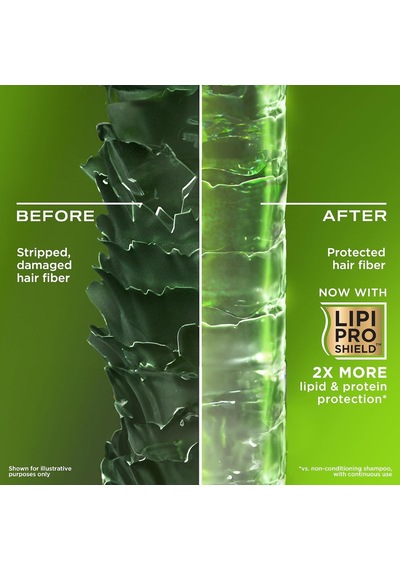 Ogx Refreshing Scalp+ Rosemary Mint Arındırıcı Sülfatsız Saç Bakım Kremi 385 Ml Sku: Smg8690010404848