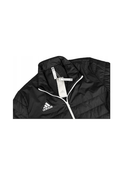 Adidas Erkek Mont Ent22 Ljkt Ib6070 001