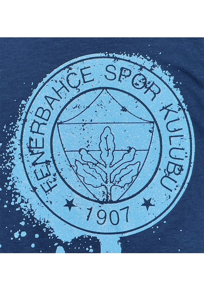Fenerium Fenerbahçe Lisanslı Yaldızlı Fb Logo Gri Çocuk Sweat Ahşap Kutulu Lacivert