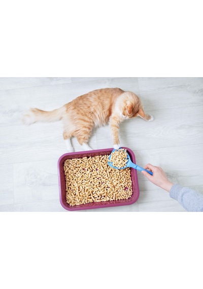 Kedi Kumu %100 Organik Çam Peleti Net 10 Kg