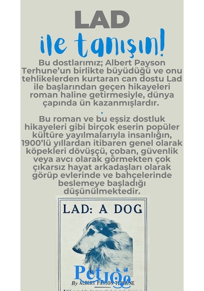Petjoo 23.Lad Mavi-Gri Qr'lı Köpek Künyesi