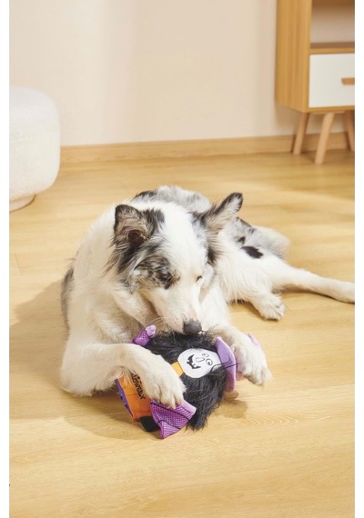 M-pets Halloween Witch Snack Attack Köpek Oyuncağı