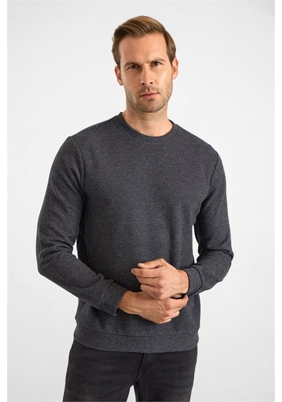 Süvari Antrasit Regular Düz Bisiklet Yaka Sweatshirt Ssw2013700003-s08