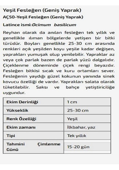AGRODAL TARIM Yeşil Fesleğen Geniş Yaprak Çiçeği Tohumu