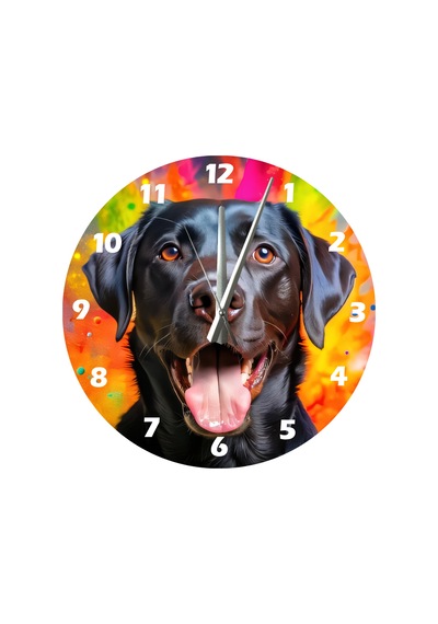 Ti-play Siyah Labrador 30x30cm Akrilik Dekoratif Modern Duvar Saati ÇOk Renkli