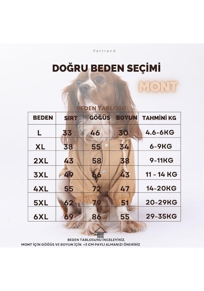 Pettrend Mavi Mont Köpek Mont Köpek Kıyafeti Köpek Yağmurluğu