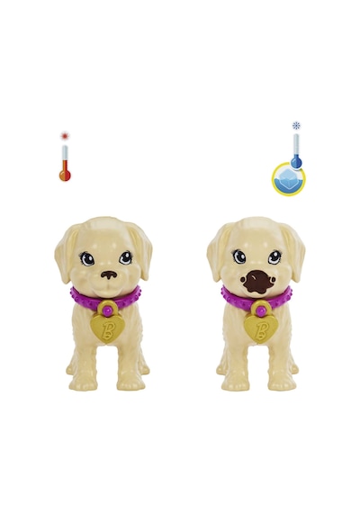 Barbie ve Köpekçikleri Oyun Seti HKD86