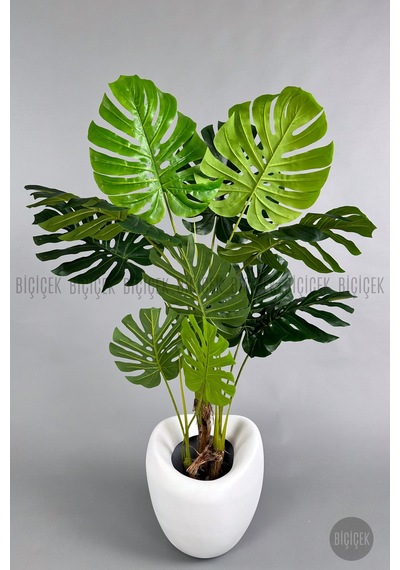 Yapay Monstera Ağacı Deve Tabani 170 Cm Beyaz Lale Saksıda