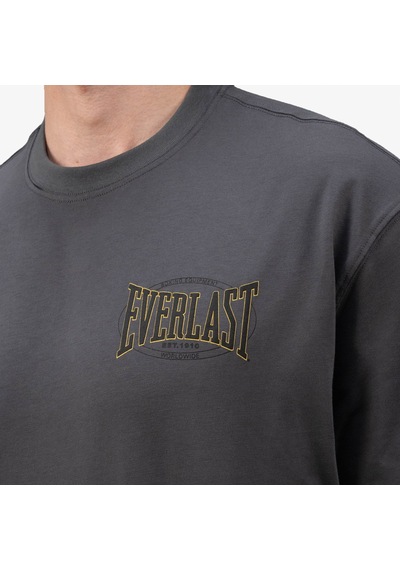 Everlast Authentic Boxing 2.0 Comfort Fit Gri Erkek T-shirt Tm0158 Çok Renkli