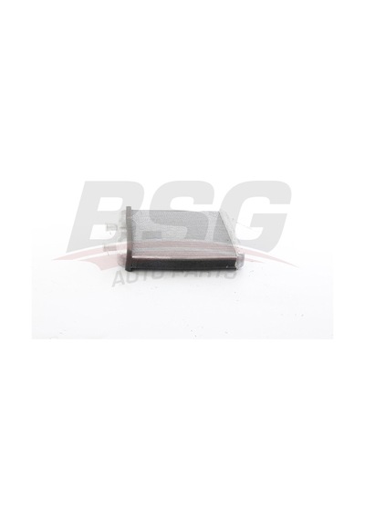 Bsg Kalorıfer Radyatoru Brazıng 220x257x26 - Daıly Iıı-ıv 99-