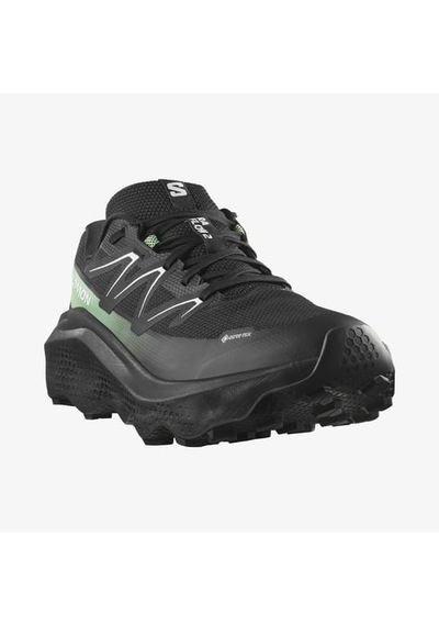 Salomon Ultra Flow 2 Gtx Erkek Outdoor Ayakkabısı Siyah