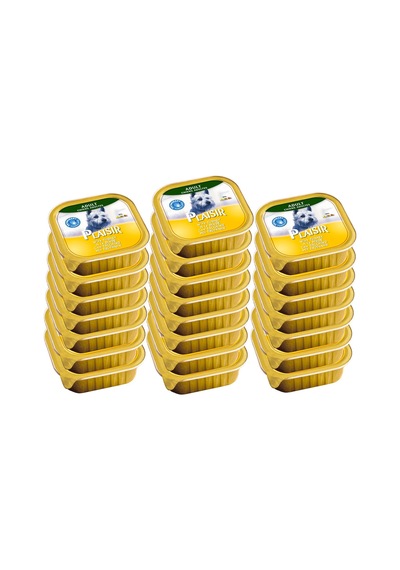 Plaisir Hindi Etli Pate Konserve Yetişkin Köpek Maması 22 x 150 G