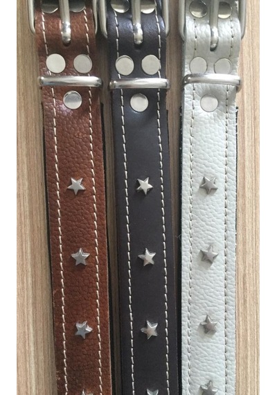 Atlantik Yıldızlı Köpek Boyun Tasması Kahverengi 2.5 x 55 CM Kahverengi