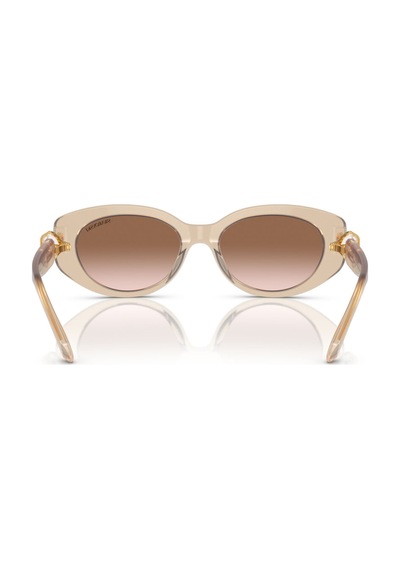Swarovski Güneş Gözlüğü Sk6002 53 103413 Nude