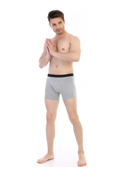 Çift Kaplan Erkek Elastanlı Gri Boxer 889 Gri