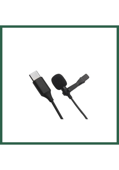 Bezos Type-c 2 Metre Double Mikrofon - Siyah Bzs01