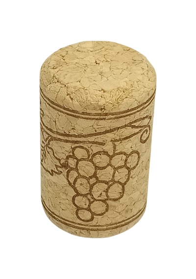Olio Aglomere Şişemantarı 500 Adet