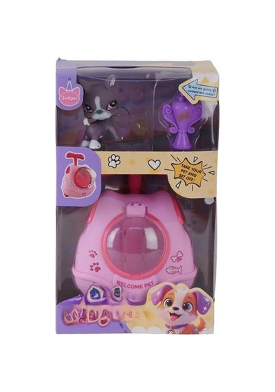 Cl2121-5/8 Çantalı Pet Shop Diğer