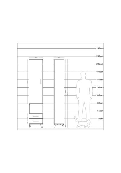 Arges Dolap 3 Raflı 2 Çekmeceli Tek Askılı 44x30x221 Antrasit-çam Antrasit