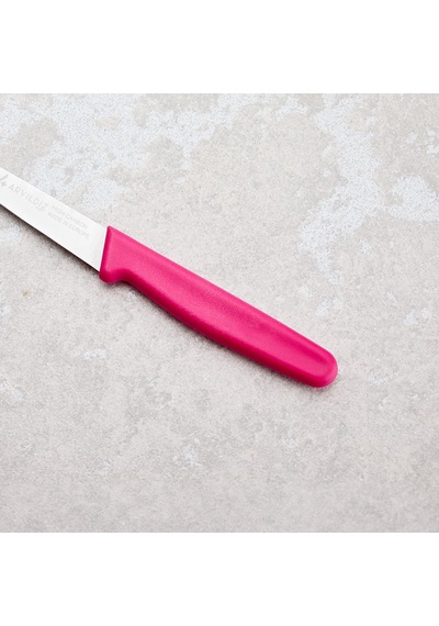 Aryıldız Solo Sebze Bıçağı Pembe 10 Cm Renkli