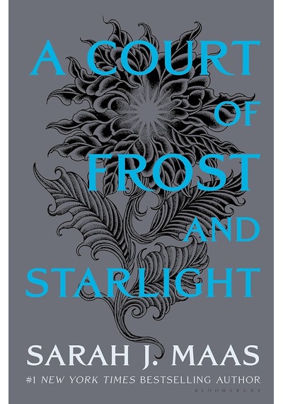 A Court Of Frost And Starlight: 4