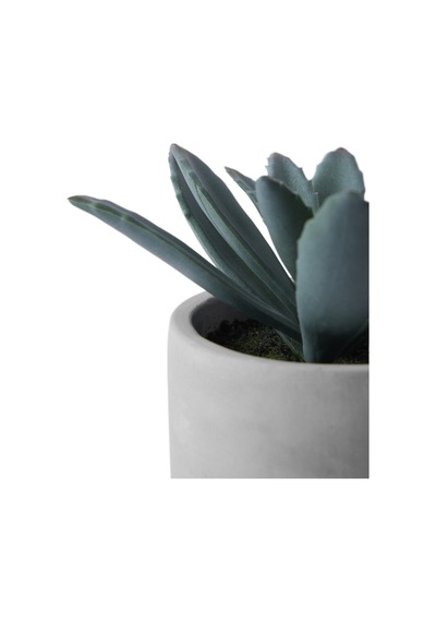 Yargıcı Yapay Bitki Sukulent 13x13 Cm 26knha1099t St