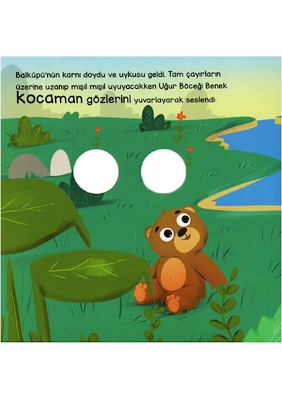 2 Yaş Bu Kocaman Gözler Kimin - Ayı Balküpü Ve Sevimli Dostları