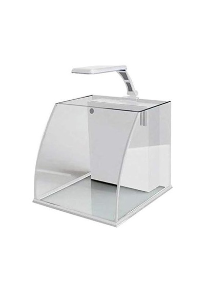 Belly Box 25 Ledli Sumplu Nano Akvaryum 26x26x24cm