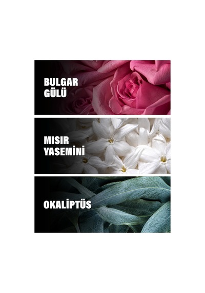 Accento Overdose 50 Ml Kadın Parfüm Narenciye