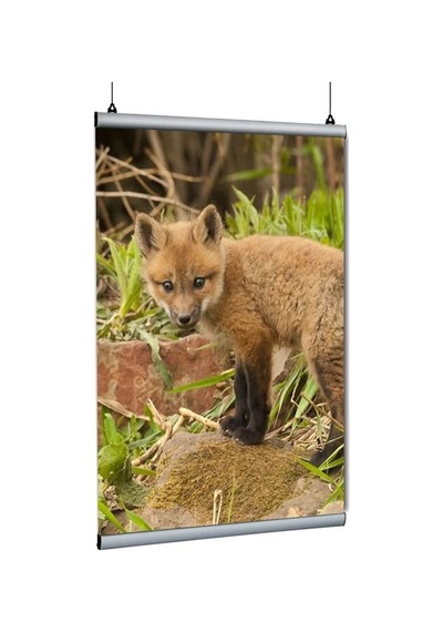 Poster Tutucu Clamp 50cm 5li Paket