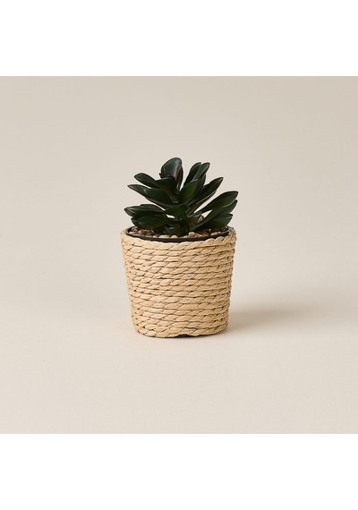 Deco Hasır Saksı Yapay Sukulent - Bej / Yeşil - 10x6 Cm Çok Renkli